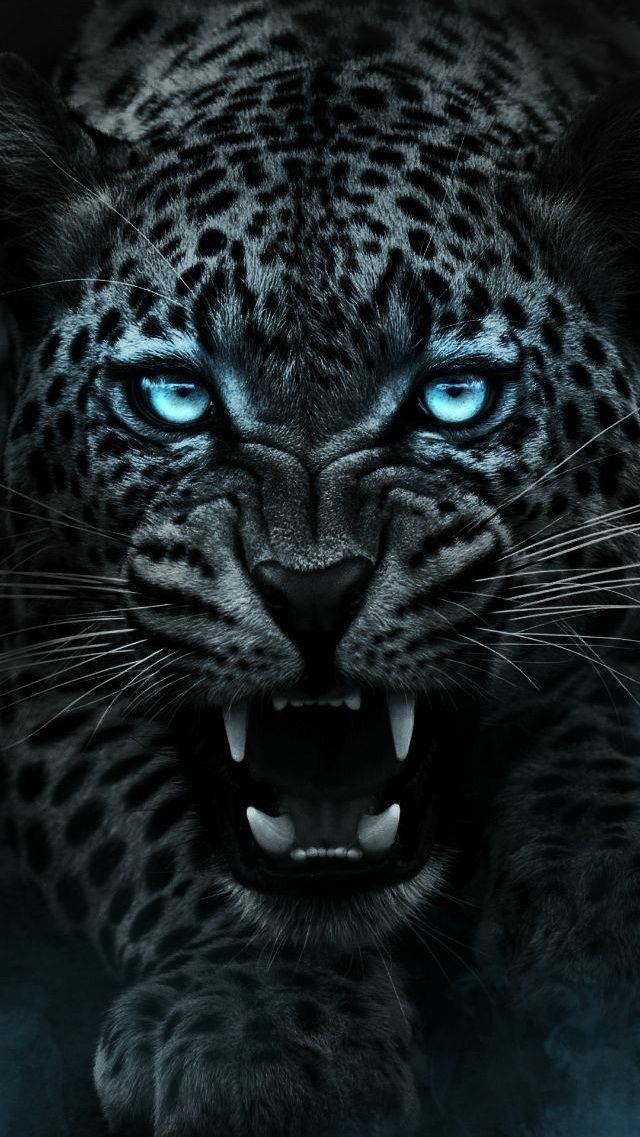 Wildlife_Cheetah_leopard_HD